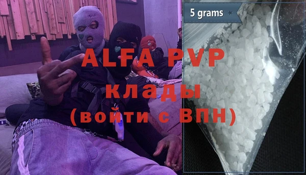 индика Алзамай
