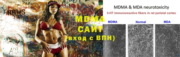 амф Алексин