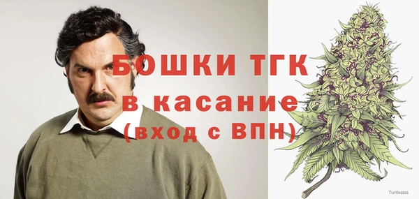 амф Алексин