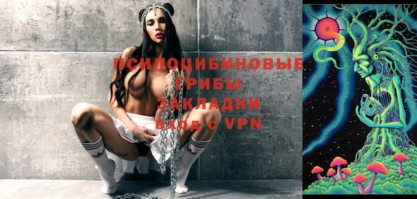 индика Алзамай