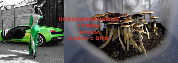 индика Алзамай